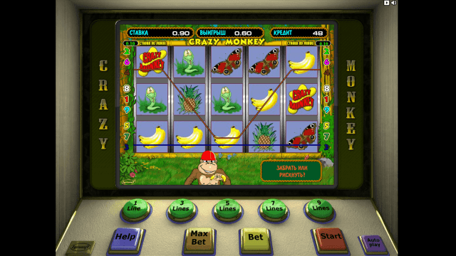 Crazy Monkey 3